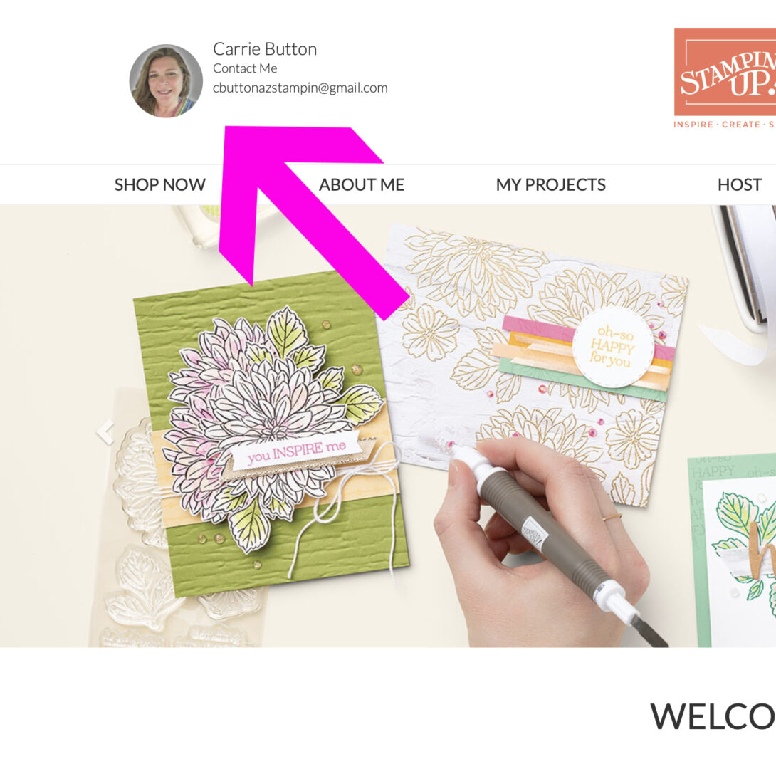 shop stampin up with carrie button