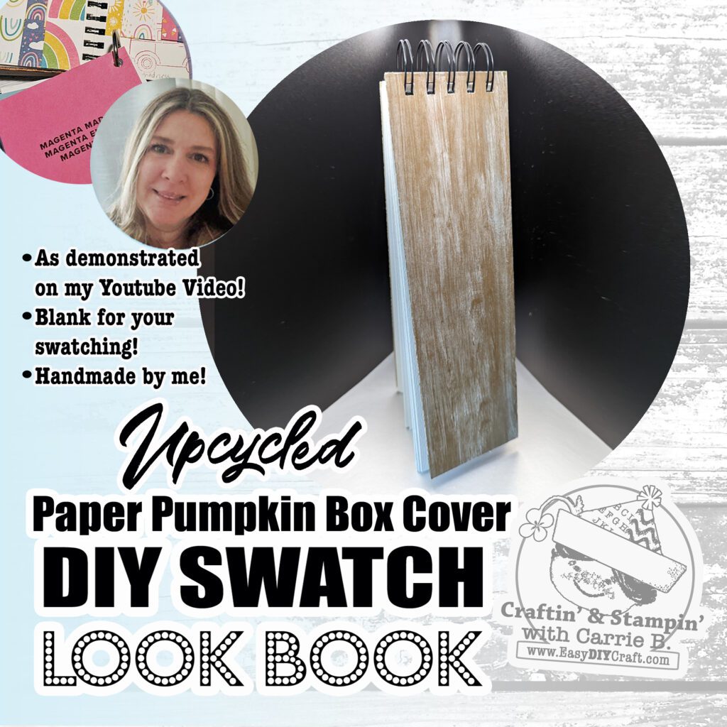 swatch look book by Carrie B.